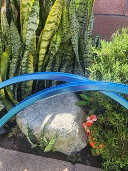 29" Hoops