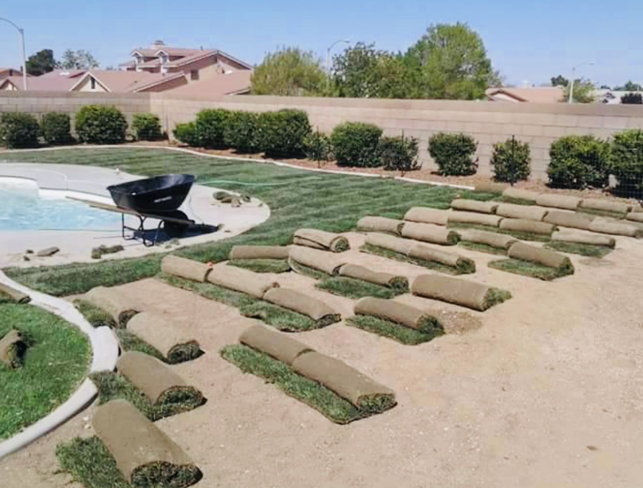 Sod Plant Free E S T I M A T E !