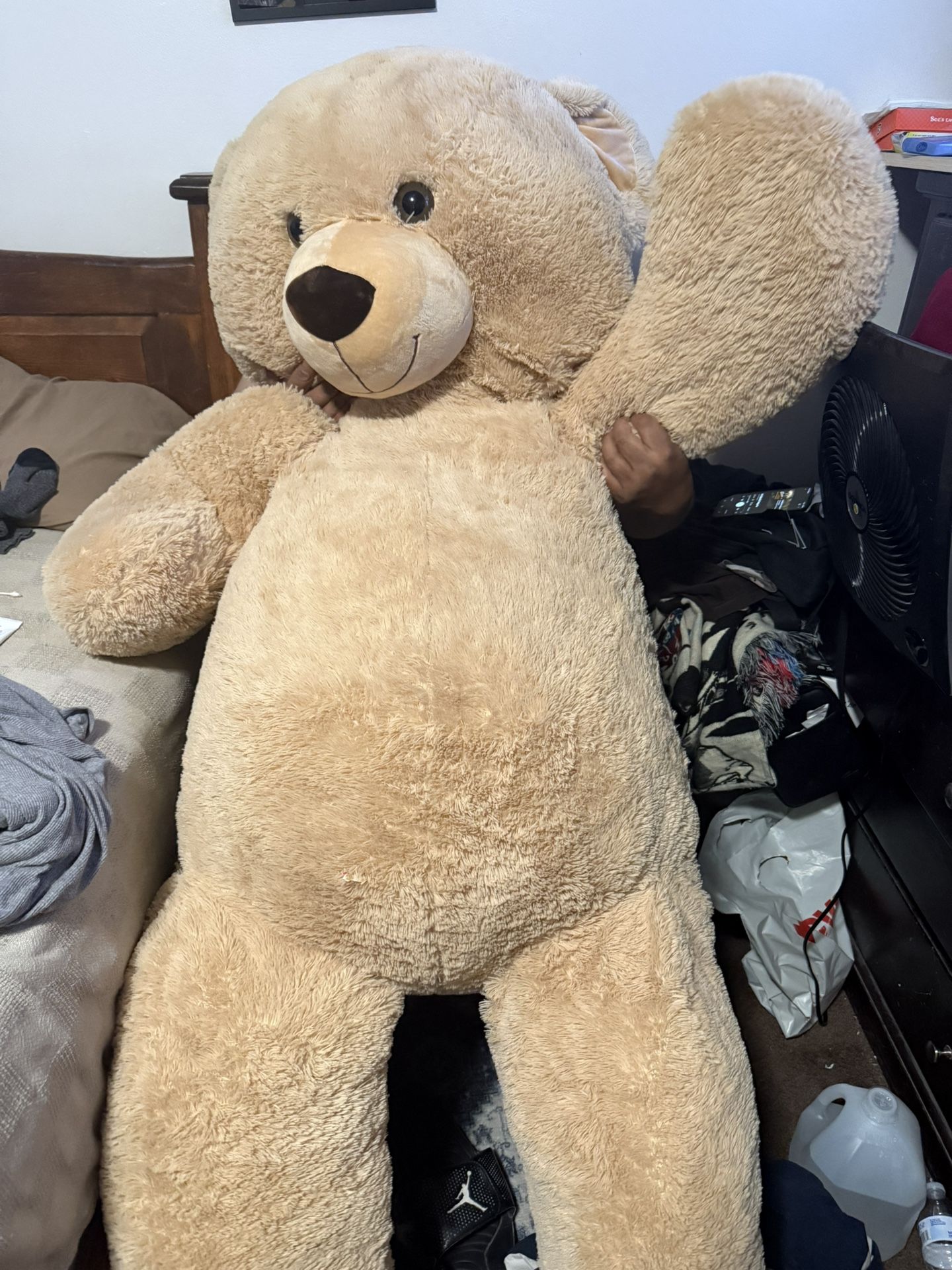 6ft Teddy Bear