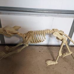 Halloween Skeleton Wolf Animated