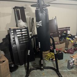 Everlast Punching Bag With Stand. Make Offer 