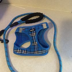 Small Dog/puppy Harness and Leash