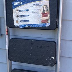 Cosco Folding Step Stool