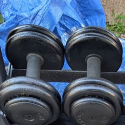 45lb dumbbells
