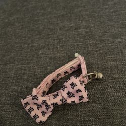 Collar for Cats 