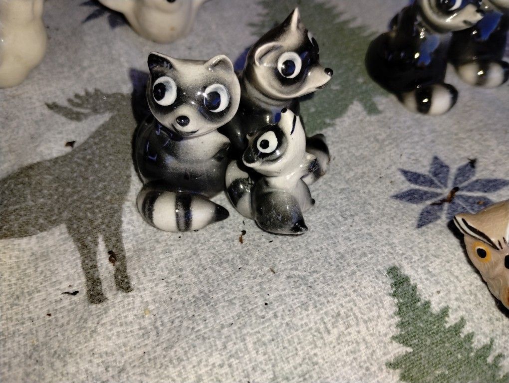 Super Cute Raccoons Even A Little Baby One