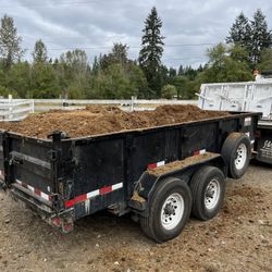 Free Horse Manure