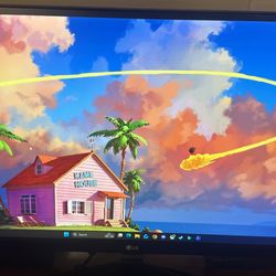 LG Ultra Wide Gaming Monitor 