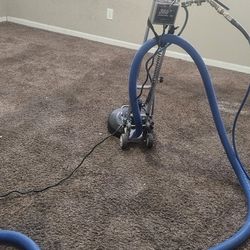 Carpet  Shampoo Cleaner