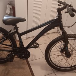 Schwinn Sidewinder Bicycle 