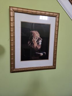 Lion Framed Print 