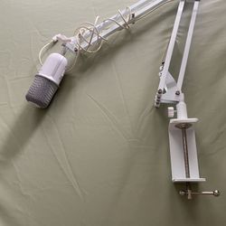 Microphone