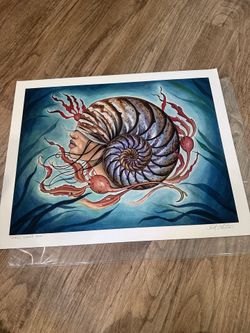 Shell Woman Sea Artwork