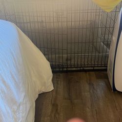 Extra Large Dog Crate