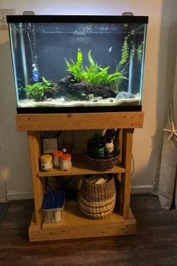 20 Gallon Aquarium & Stand
