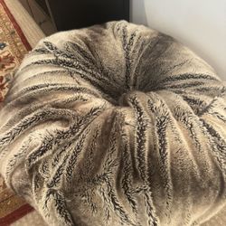 Pottery Barn Beanbag