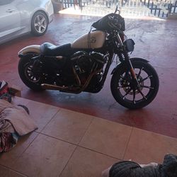 2022 Harley-davidson Iron 883