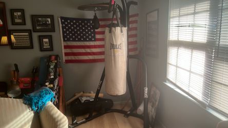 Everlast punching bag and rig.