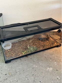 Reptile tank
