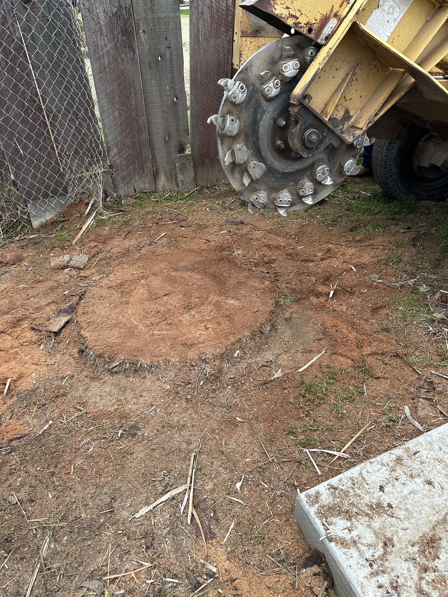 Tree Stumps
