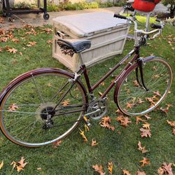 Panasonic Cruiser bicycle