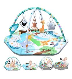 Baby Activity Mat and Ball Pit