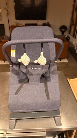 Baby Delight Highland Bouncer