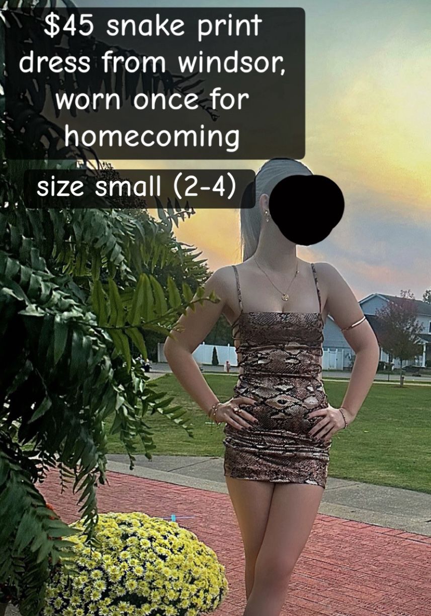 snake print dress from Windsor