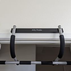 HEAVY DUTY STEEL PULL-UP BAR