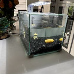 5 gallon fish tank