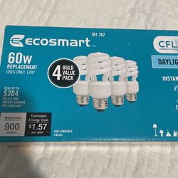 Eco Smart 60W Compact Fluorescent Bulb Light