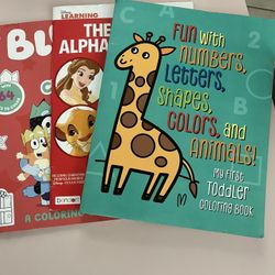 3 Preschool Work Books Brand New