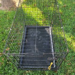Dog Crate