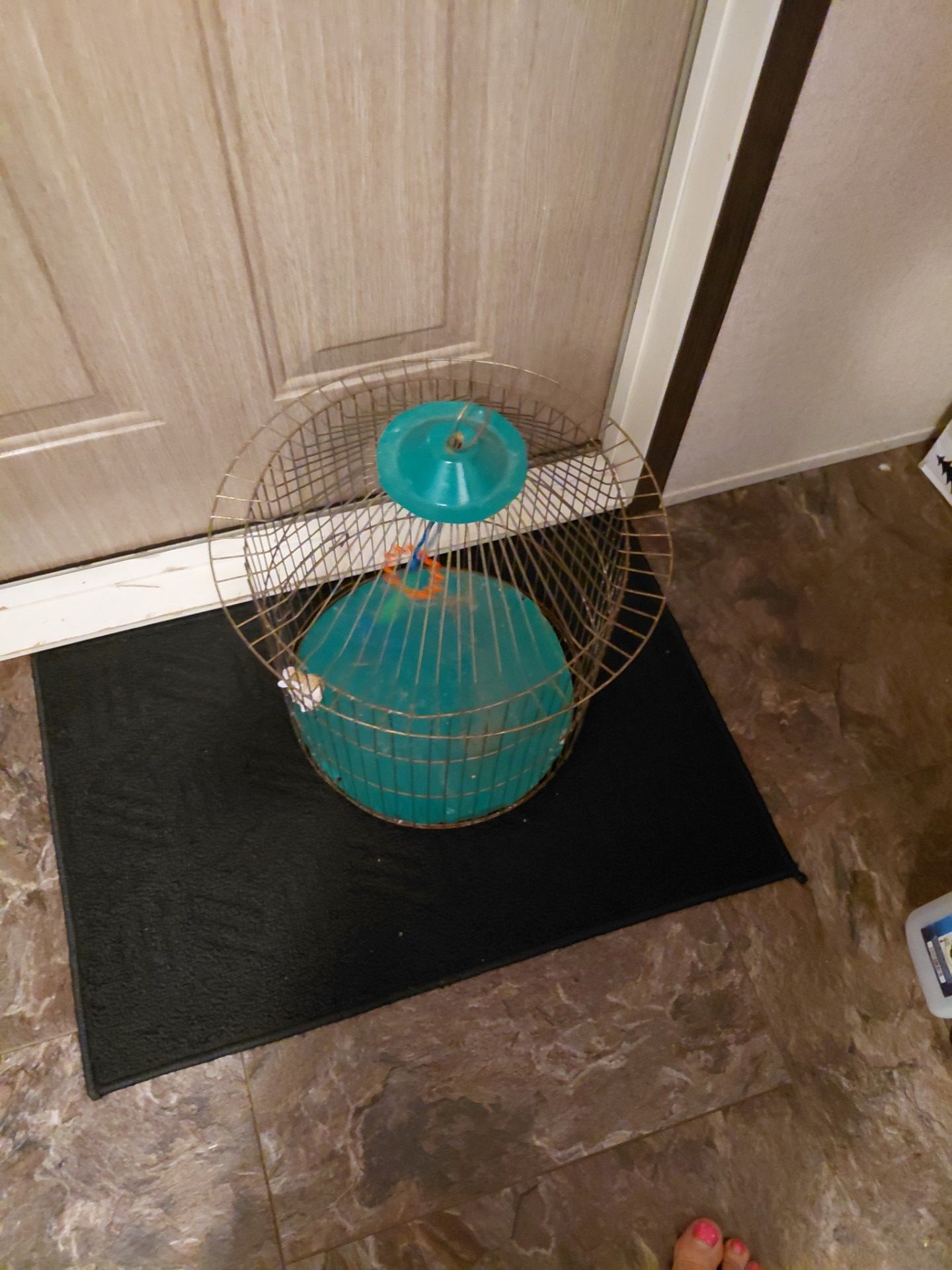 Bird cage