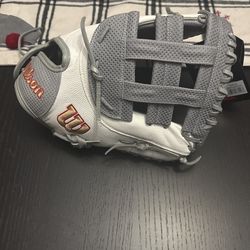 Softball Glove Sale Or Trade For Outfieldglove