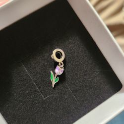 Silver Plated Bracelet Charms