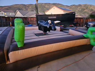Mechanical Bull