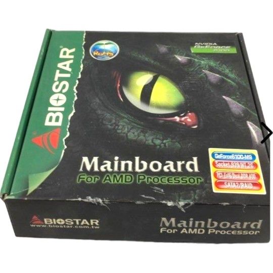 BIOSTAR GEFORCE 6100 AM2 AM2 NVIDIA