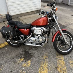 Harley Sportster Custom 1200