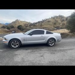 2006 MUSTANG 