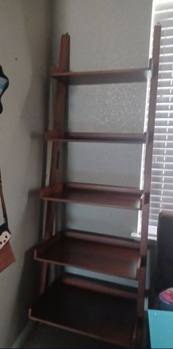 Leaning ladder Wood Shelve