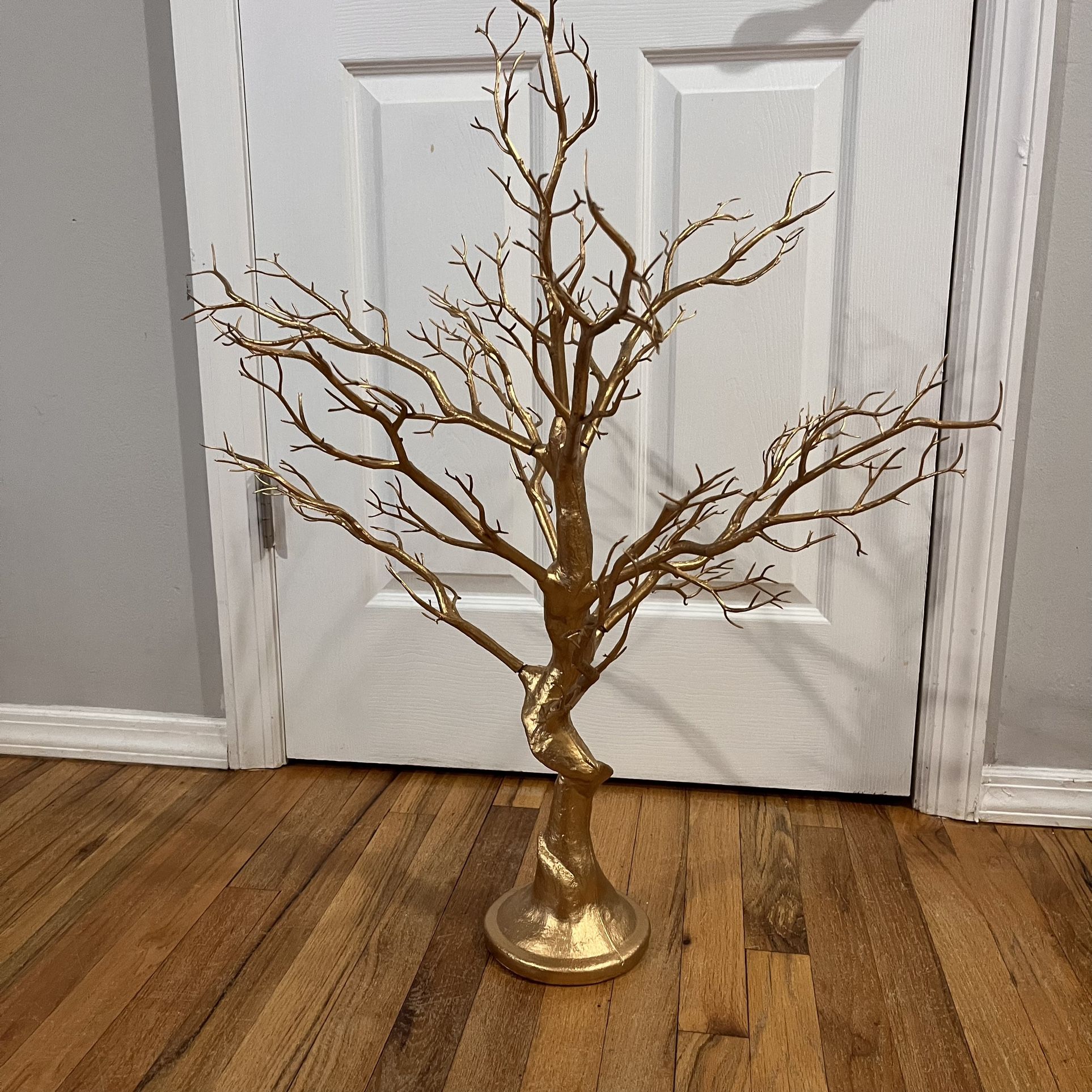 Manzanita Tree
