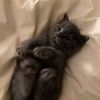 kiki