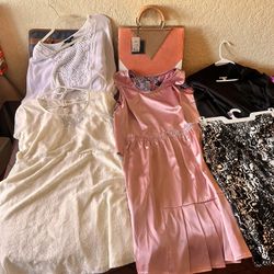 14 Piece Clean Dresses/Skirts. $20 All
