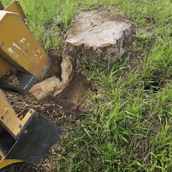 Stump Grinding 87