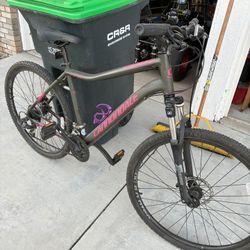 29 inch women’s Cannondale mountain bike