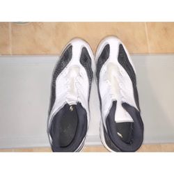 jordan 11