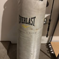 Everlast punching bag