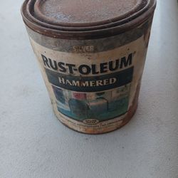 Rust-oleum Silver Hammered Paint 6th