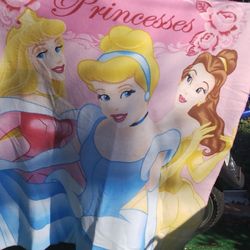 Disney Princess Blanket Cinderella Beauty And The Beast  Etc